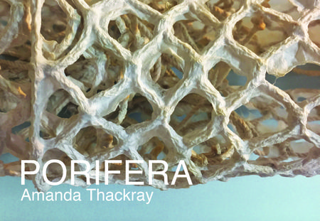 PORIFERA opens at Index Art Center!